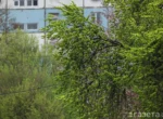 Какой будет погода в апреле в Узбекистане