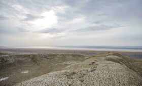 Первый Аральский культурный саммит пройдёт в Самарканде и Нукусе