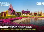 Навстречу природе: чем заняться весной в Дубае под открытым небом