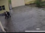 В Джизакской области водитель избил заправщика. Причиной стала незакрытая крышка бензобака. Видео
