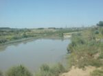 В водоемах Самаркандской области в один день утонули трое детей