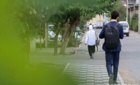 Инициативу «Одарённые дети президента» запустят в Узбекистане