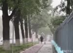 Главное в Узбекистане за неделю. О чём писала «Газета.uz»