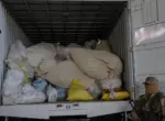 В Ташкенте сожгли более 2 тонн наркотиков (+фото, видео)