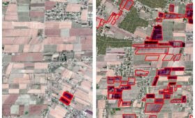 Агентство «Узбеккосмос» с начала года обнаружило более 200 случаев возгораний на полях