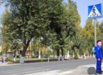 СБДД Узбекистана предложила ввести статус пешехода в зависимости от возраста