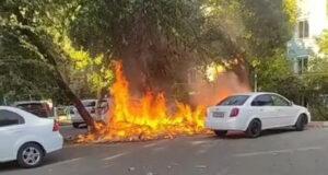 В Ташкенте из-за возгорания мусора поврежден автомобиль. Видео