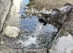 В Узбекистане до сих пор нет точного учёта воды. Президент требует цифровизации