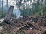 Президент Узбекистана выразил соболезнования России в связи с крушением пассажирского самолёта