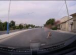 В Ташкенте водитель сбил двухлетнего ребенка, перебегавшего дорогу. Видео