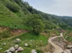 В пяти регионах Узбекистана возможны селе-паводковые явления