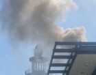 В МЧС прокомментировали пожар в одном из столичных парков