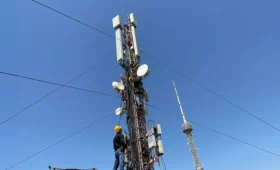 Beeline Uzbekistan ускоряет цифровое развитие регионов