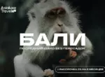 Asialuxe Travel представил последний шанс посетить Бали без пересадок — 13 и 23 августа
