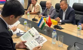 В Узбекистане хотят совместно с Китаем выращивать стевию