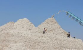 Узбекистан договаривается с США об импорте хлопка