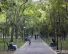 В выходные по Узбекистану сохранится умеренно жаркая погода