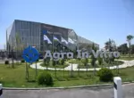 Как Agro In Vitro выращивает сертифицированные саженцы, свободные от вирусов