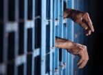 “Ее убил и тебя убью!” В Ташкентской области друг за другом погибли две сестры, вышедшие замуж за одного мужчину