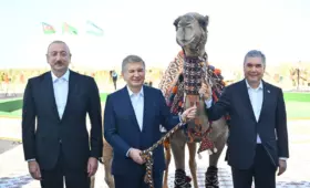 Бердымухамедов подарил Шавкату Мирзиёеву верблюда и верблюжонка