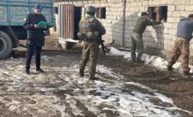 В Казахстане вынесен приговор по делу о контрабанде бензина в Узбекистан