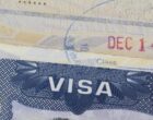 Госдепартамент проверит более 55 миллионов обладателей виз США на возможные нарушения