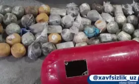 Более 57,7 кг наркотиков пытались ввезти в Узбекистан из Таджикистана