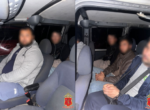 В Петербурге арестовали пятерых узбекистанцев после конфликта с соотечественниками в магазине