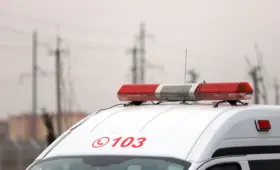 В детских садах Ташкентской области произошло массовое отравление детей
