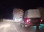 Ночная погоня. В Бухарской области наказали дровосека, вырубившего саксаул. Видео