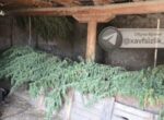 В Самаркандской области пресечен незаконный оборот крупных партий опиума и марихуаны
