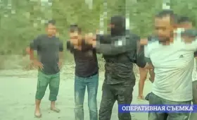 111 кг наркотиков изъято у членов транснациональной группы в трёх регионах Узбекистана (+видео)