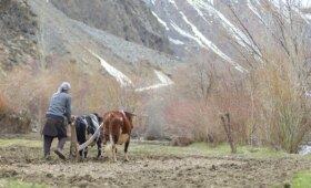 Зелёный климатический фонд выделил $250 млн на защиту водных ресурсов и ледников Центральной Азии и Южного Кавказа