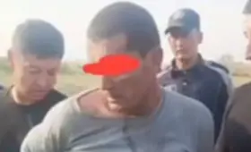 Осуждённый за изнасилование ребёнка, покинув колонию-поселение, надругался над девочкой 9 лет