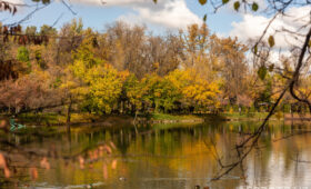 Какой будет погода в Узбекистане в ноябре