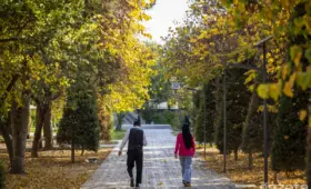 Что изменится с 1 ноября в Узбекистане?