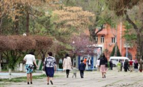 Доходы населения в Узбекистане за 9 месяцев выросли на 8,4%