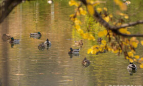 Резкое изменение погоды ожидается в Узбекистане с 3 ноября