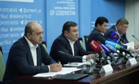 Льготы на электроэнергию для домов без газа ещё разрабатываются — министр энергетики Узбекистана