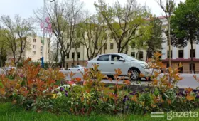 Ташкент направит свыше 136 млрд сумов на посадку цветов, обновление электросетей и другие расходы