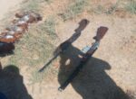 Двух жителей Самаркандской области задержали за незаконную охоту на фазанов