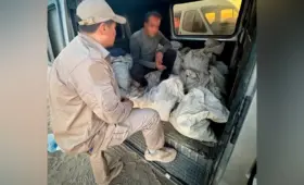 Около 40 человек задержали в Узбекистане за незаконную добычу золота