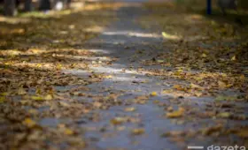 Выходные будут тёплыми, осадков не ожидается