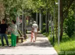 Дендропарки, тенистые улицы, новые фонтаны и водоёмы. Проекты, запланированные в Ташкенте