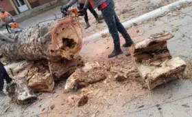 С апреля за эконарушения в Узбекистане будут нести ответственность только юридические лица, не их работники