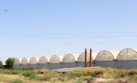 Все теплицы в Ташкенте и вокруг него в срочном порядке переведут на газ