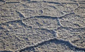 В Каракалпакстане создадут промзону для переработки соли Kungrad Salt Free Zone