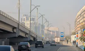 Как планируется снизить загрязнение воздуха в Ташкенте и Узбекистане. Главное из плана властей