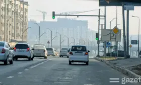 Создан Национальный комитет по экологии, подотчётный президенту. Экополиции разрешили применять силу