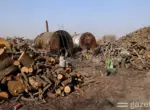 Экологи обнаружили горы древесины и пиролизные бочки для изготовления угля под Ташкентом (видео)